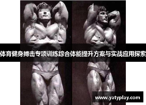 体育健身搏击专项训练综合体能提升方案与实战应用探索