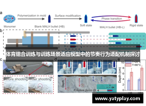 体育组合训练与训练场景适应模型中的节奏行为适配机制探讨